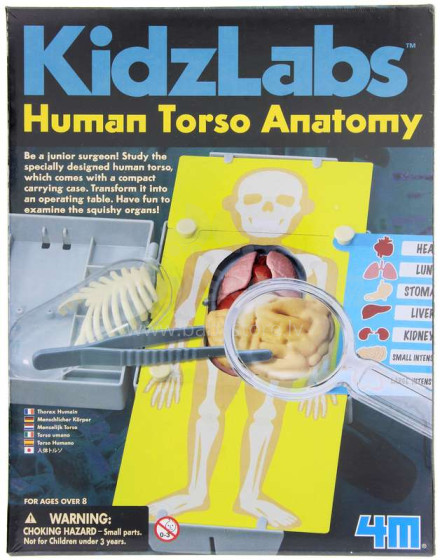 4M anatomijos menas.00-03373 Nustatykite žmogaus anatomiją