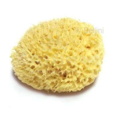 Bellini  Nat. Sea Sponge Honeycomb №16 Губка натуральная морская детская