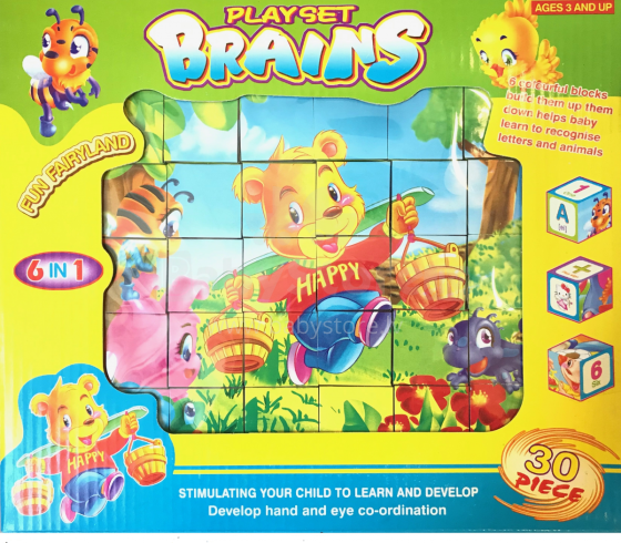 BebeBee Brains Art.500267  Детские развивающие кубики (6 картинок)