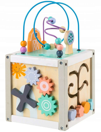 EcoToys Active Cube Art.1030  Деревянная игрушка - Куб для развития моторики