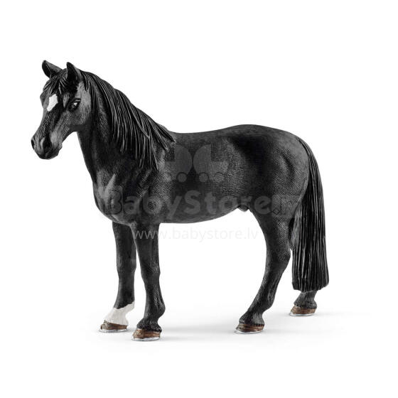 Schleich ARKLIŲ KLUBAS Tenesio asilas