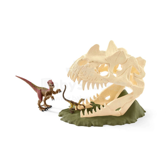 „Schleich“ didelė kaukolė su „Velociraptor“