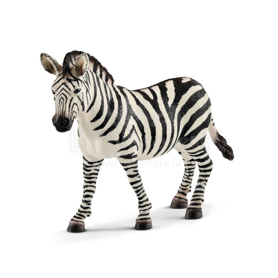 SCHLEICH WILD LIFE Moteris zebra
