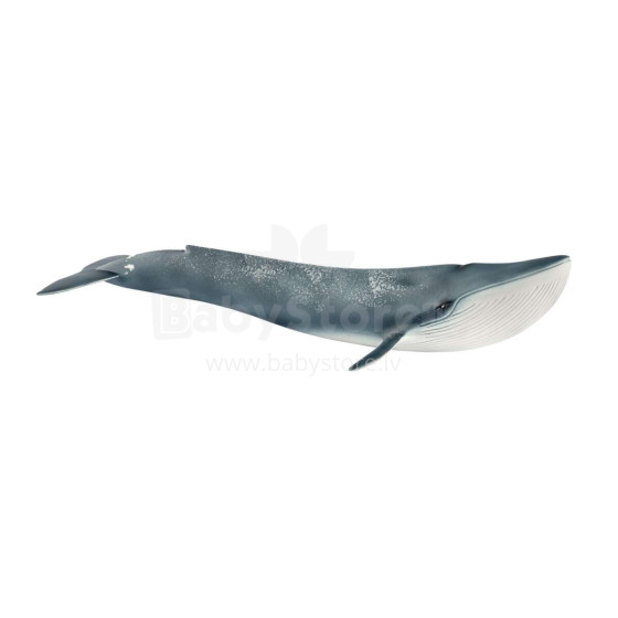 SCHLEICH WILD LIFE Mėlynasis banginis