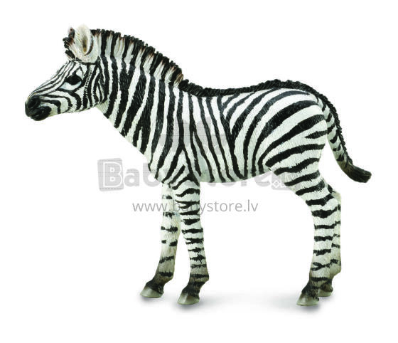 COLLECTA zebra, figūrėlė, 88850