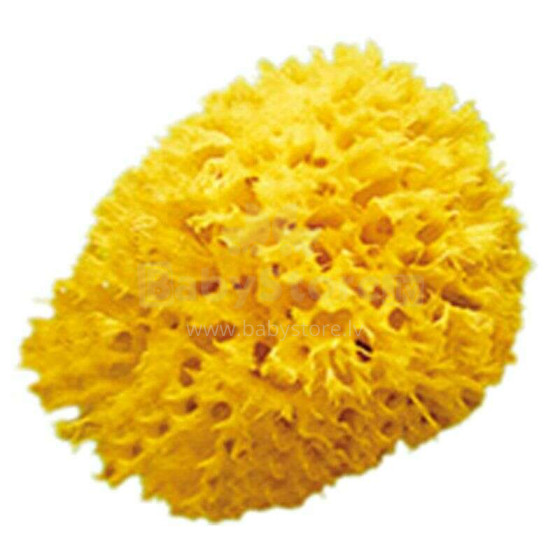 OK Baby Nat. Sea Sponge Honeycomb №10 Art.38471000  Natūrali jūros kempinė