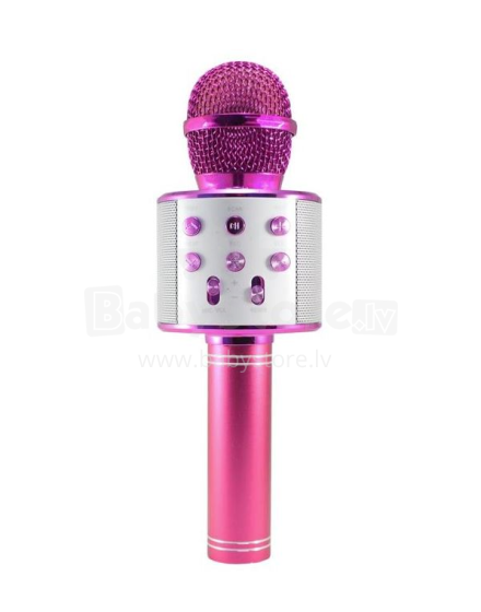 TLC Baby Microfone Art.WS-858 karaoke mikrofonas - garsiakalbis su balso keitimo efektais