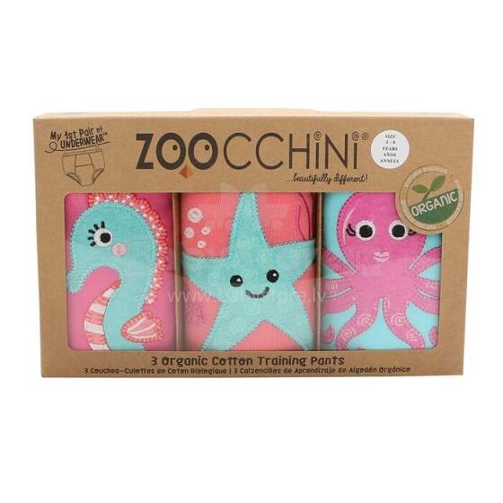 Zoocchini Art.ZOO13012 Pereinamosios kelnaitės, 3 vnt