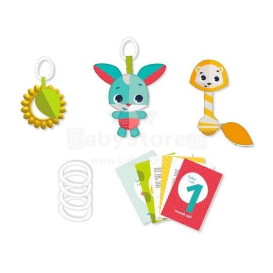 Tiny LoveTiny Love Rattle Art.TL17010000