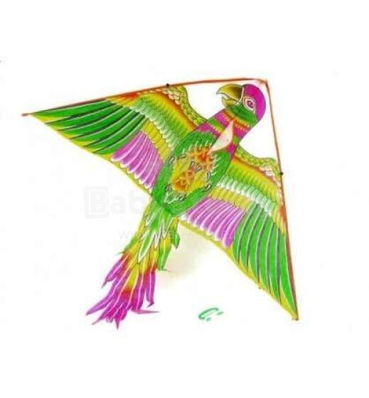Salės menas.8226103 Skraidantis oro drakonas Aitvaras 130x120 cm
