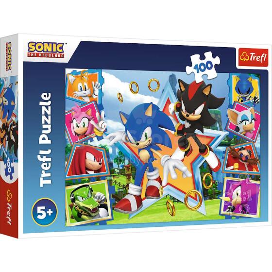 TREFL SONIC Dėlionė „Sonic“, 100 det.
