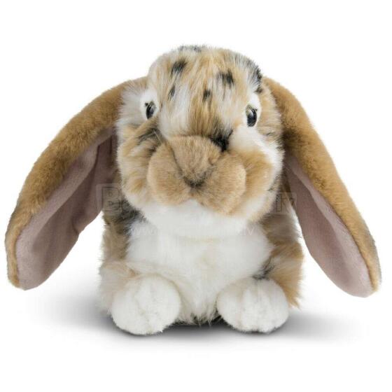Living Nature Dutch Lop Eared Rabbit Art.AN316B Brown Pliušinis žaislas