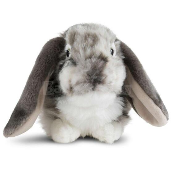 Keycraft Living Nature Dutch Lop Eared Rabbit Art.AN316G Grey Pliušinis žaislas