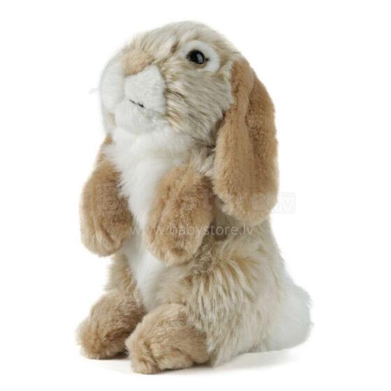 Keycraft Living Nature Dutch Lop Eared Rabbit Art.AN345B Brown Pliušinis žaislas