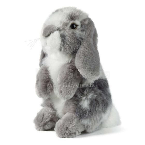 Living Nature Sitting Lop Eared Rabbit Art.AN345G Grey  Pliušinis žaislas