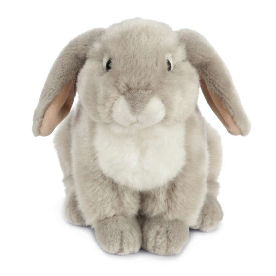 Living Nature French Lop Eared Rabbit Art.AN472G Grey Mīkstā rotaļlieta