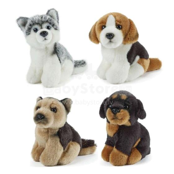 Keycraft Living Nature Miniature Dogs Assorted Art.AN366  Pliušinis žaislas