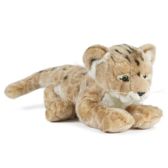 Keycraft Living Nature Lion Cub Art.AN322  Pliušinis žaislas