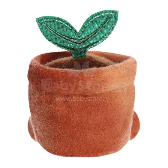 AURORA PALM PALS Pliušinis augalas vazonėlyje, 11 cm