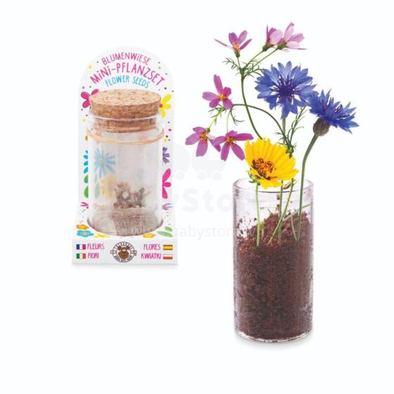 Good Feelings HF - Mini flower planting set