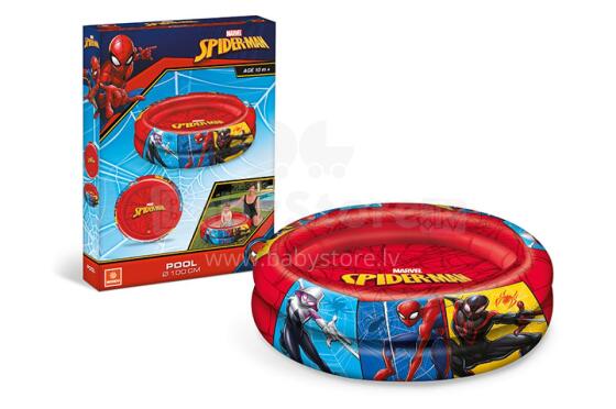 ARTICLE 169313 SPIDERMAN Pool