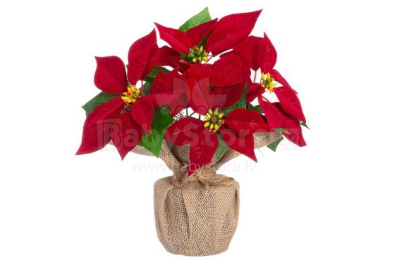4Living Poinsettia džiuto vazone raudoname 26 cm stende