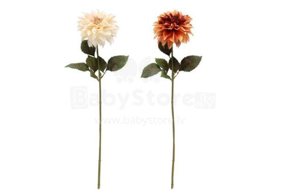4Living jurginų didelių gėlių 74 cm rinkinys