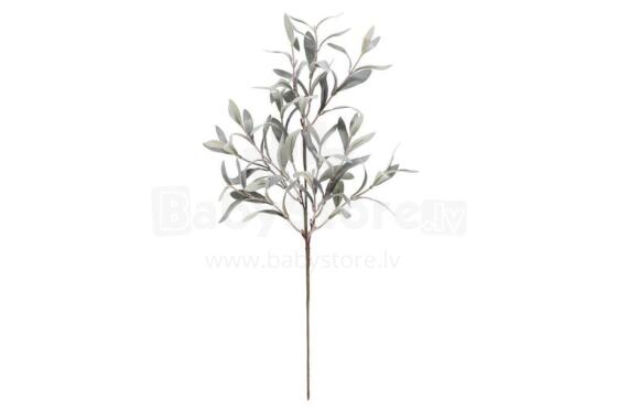 4Living Alyvmedžio šaka 60 cm