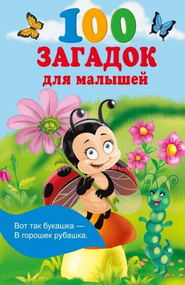 Kids Book Art.26328 100 mįslių mažiesiems
