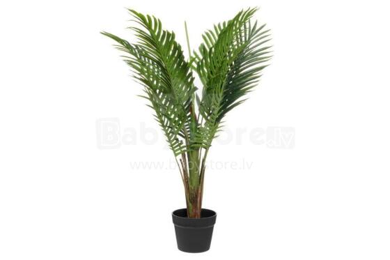 4Living Palmė 80 cm