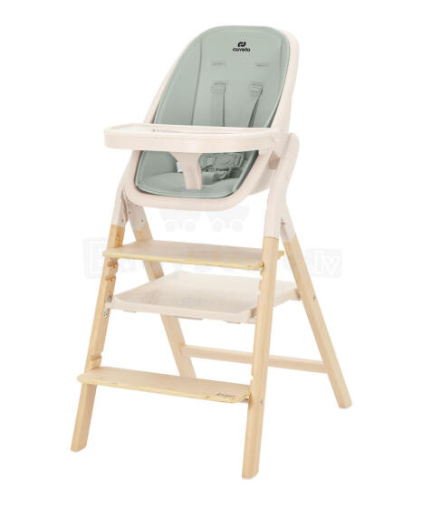 Vaikiška aukšta kėdė Carrello ERGO CRL-16701 Elora Green