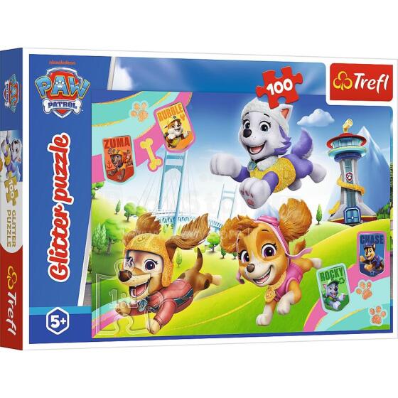 Toi Toys Paw Patrol Art.T-1448 Dėlionė „Letenų patrulis“, 100 detalių.