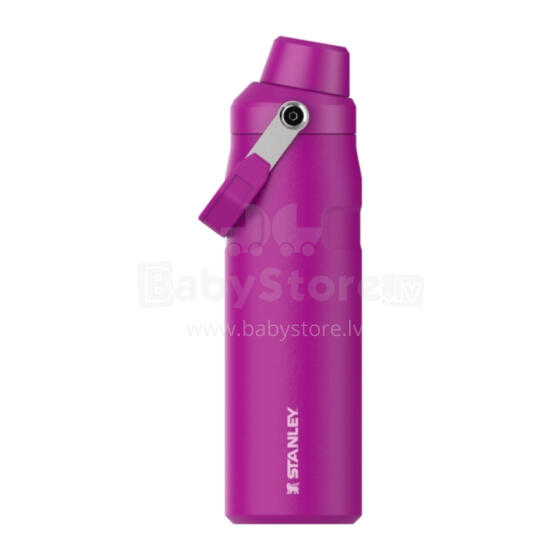 Terminis gertuvė &bdquo;The IceFlow Bottle Fast Flow&ldquo; 0,71 l, violetinė