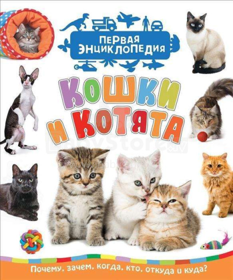 Kids Book Art.28419 Pirmā enciklopēdija   Kaķi un kaķēni