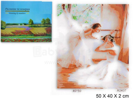 Paveikslas pagal numerius - 47759 - BALERINOS