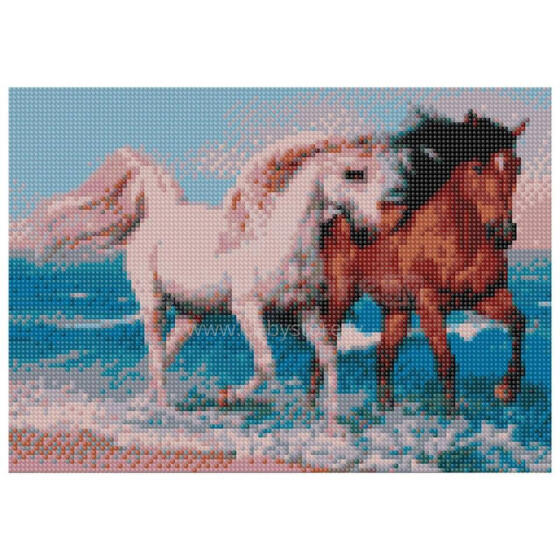 Daimond Mosaic - 48064 - ARKLIAI - dydis 30x40 cm