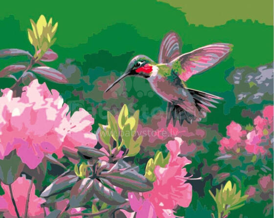 Paveikslas pagal numerius - 50630 - KRAUJOJAS - dydis 40x50 cm