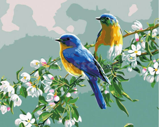 Paveikslas pagal numerius - 50593 - Paukščiai ant šakos - dydis 40x50 cm