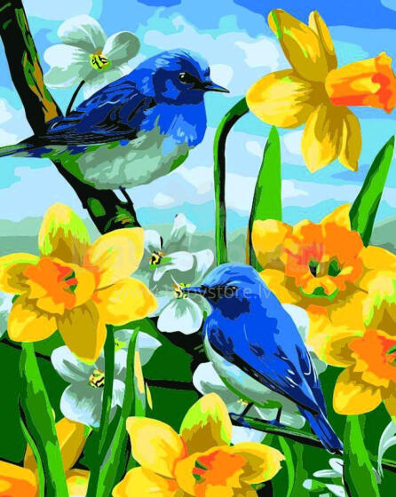 Paveikslas pagal numerius - 45971 - MĖLYNI PAUKŠČIAI - dydis 40x50 cm