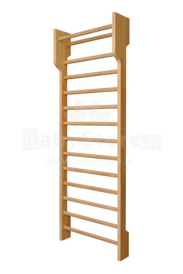 Pratimų siena Meduskoks 200x80x16/25 cm
