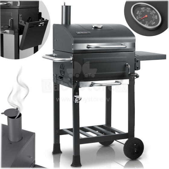 Berdsen BD-894 Anglies Grilis