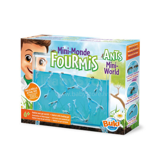 Buki Fourmi Mini-Pasaulis