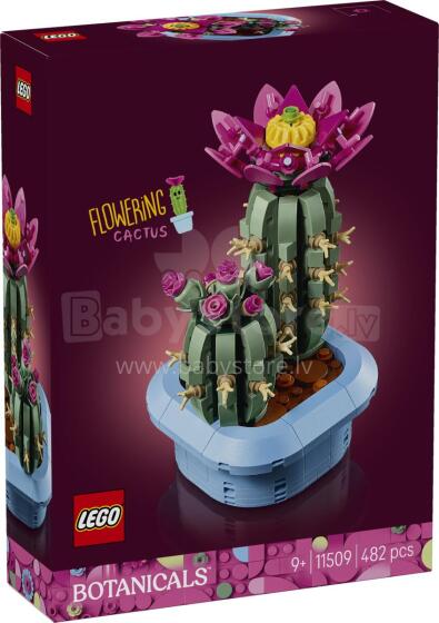 LEGO Botanikos Žydintis Kaktusas