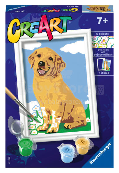 
Ravensburger dažykite pagal numerius Draugiškas retriveris