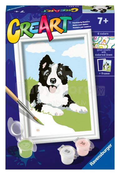 Ravensburger dažykite pagal numerius Border Collie