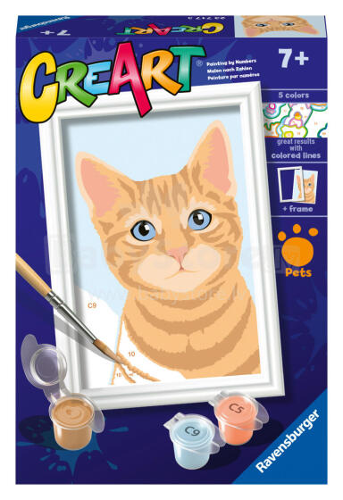 Ravensburger dažykite pagal numerius oranžinis tabby