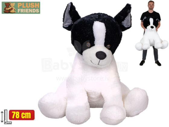 Pliušinis žaislas - 03166 - PRANCŪZŲ BULDOGAS - dydis 78 cm