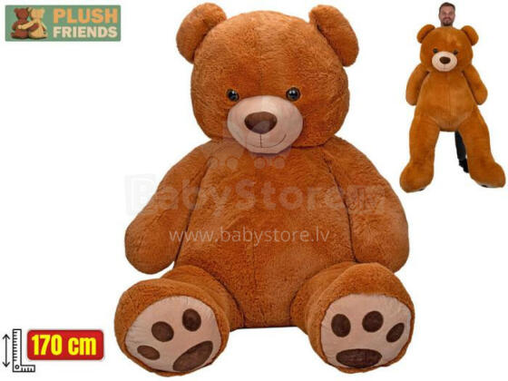 MIŠAS PLIUS 170 CM RUDAS BETA