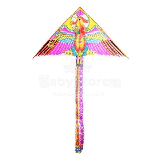Salės menas.8226103 Skraidantis oro drakonas