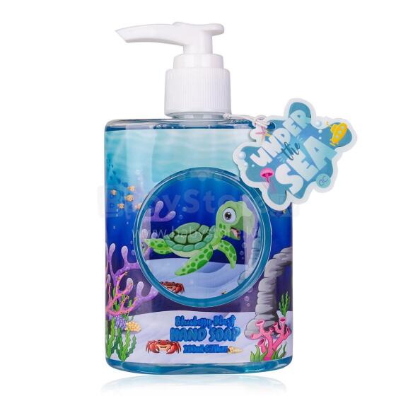 Accentra Hand Wash Art.78396